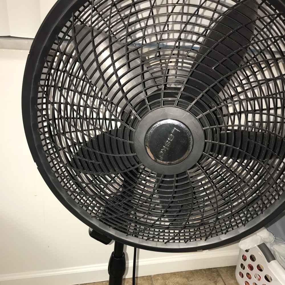 Lasko black fan